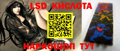 гидра Краснокаменск