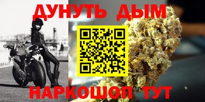 гидра Краснокаменск