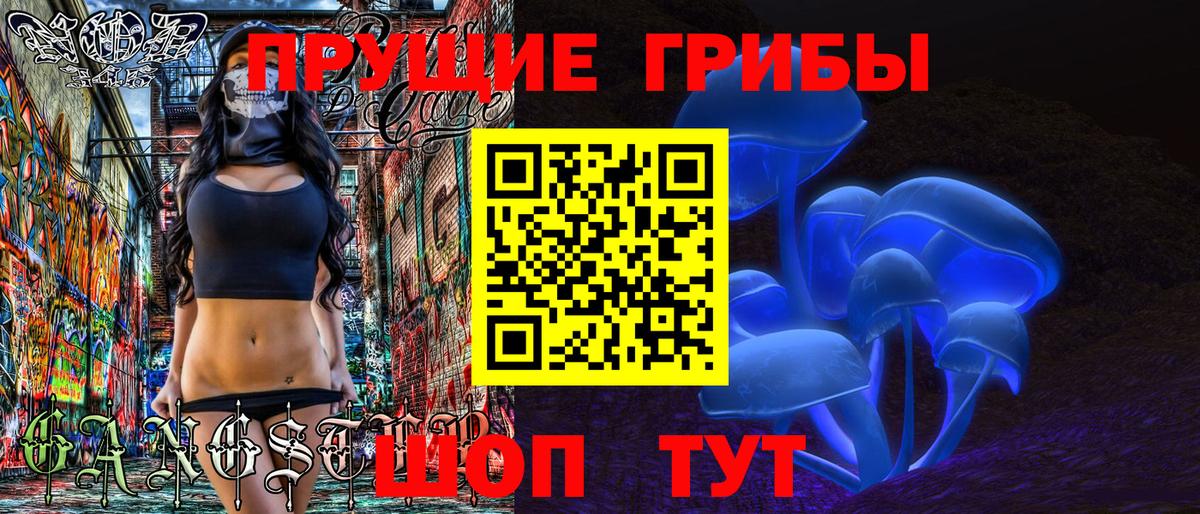 Галлюциногенные грибы MAGIC MUSHROOMS  Вход с VPN  Котельники 